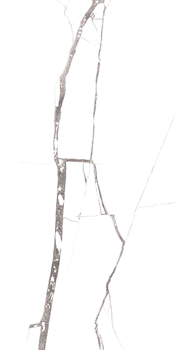 GREY SPIDER F5